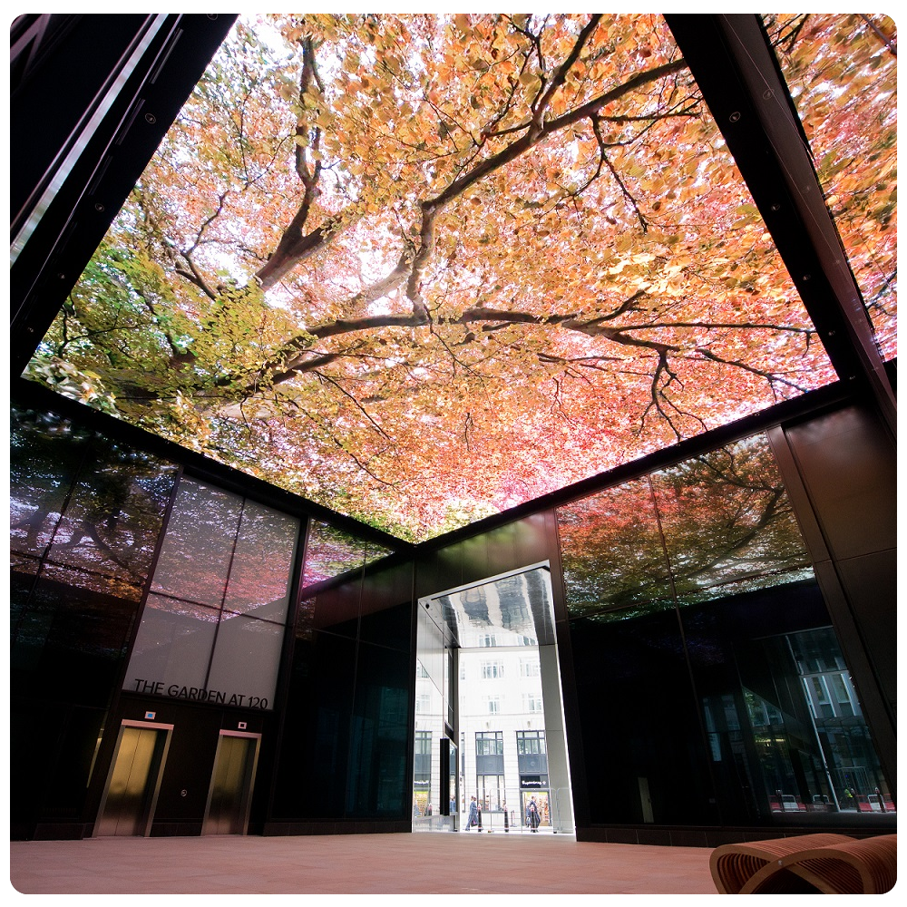 Inside of an office building with a display screen on the ceiling